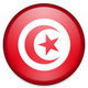 Código internet de Túnez: .tn